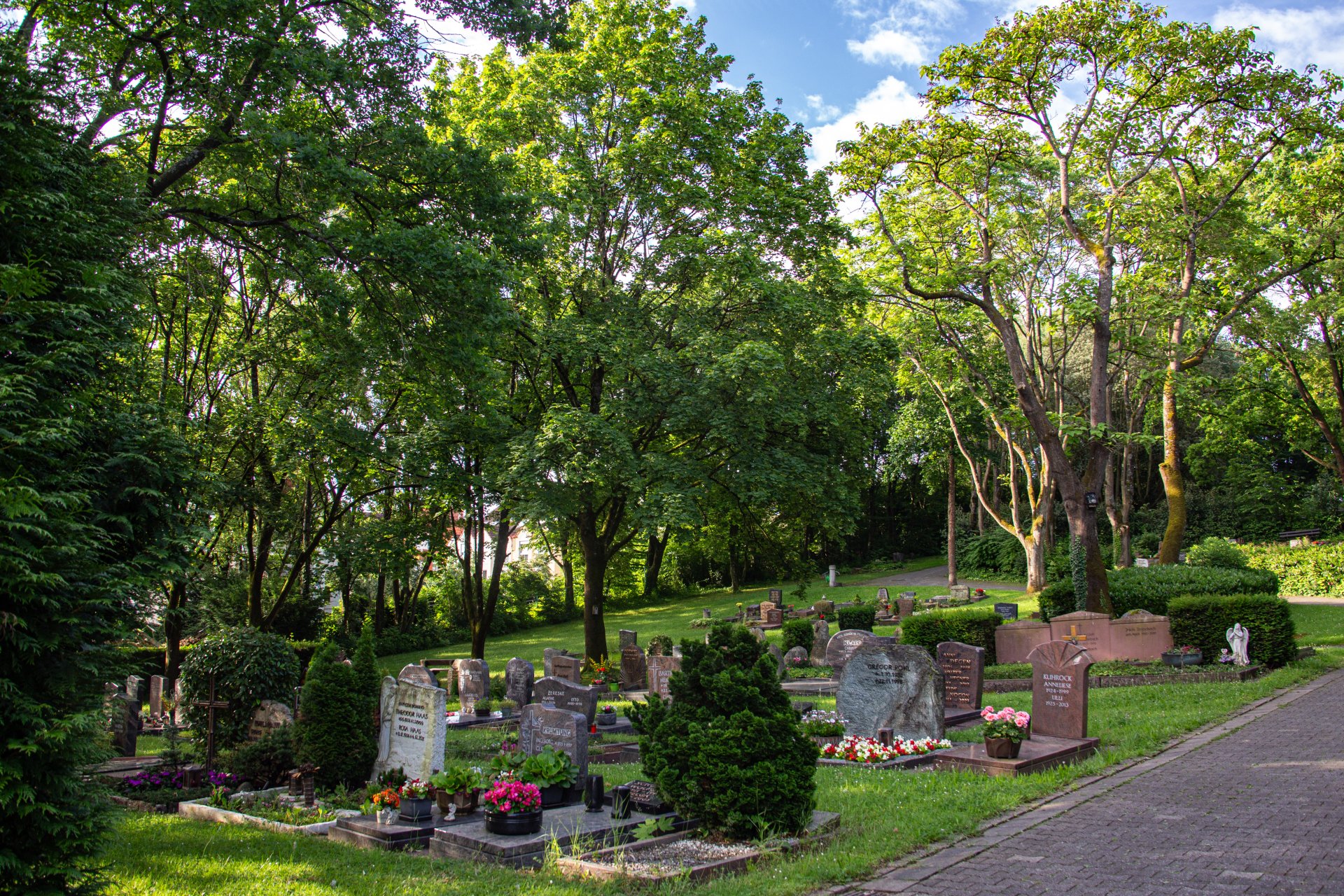 Sanierung Friedhof Kernstadt