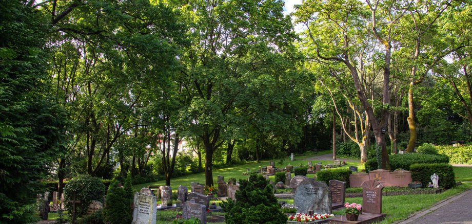 Sanierung Friedhof Kernstadt