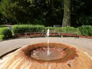 Neuer Sprudel im Alten Kurpark Der Neue Sprudel im Alten Kurpark, welcher bei Hauterkrankungen helfen kann