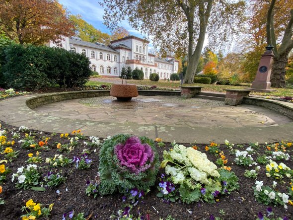 Der Alte Kurpark im Herbst Der Alte Kurpark mit blühendem Blumenbeet im Herbst