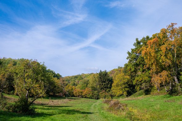 Süßes Gründchen Süßes Gründchen Neuenhain