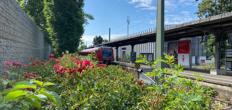 Der S-Bahnhof in Bad Soden a.Ts. im Sommer 