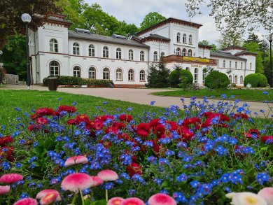 Logo Badehaus Bad Soden