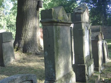 Jüdischer Friedhof Bad Soden am Taunus Jüd Friedhof_Sven Hammerbeck_3.JPG