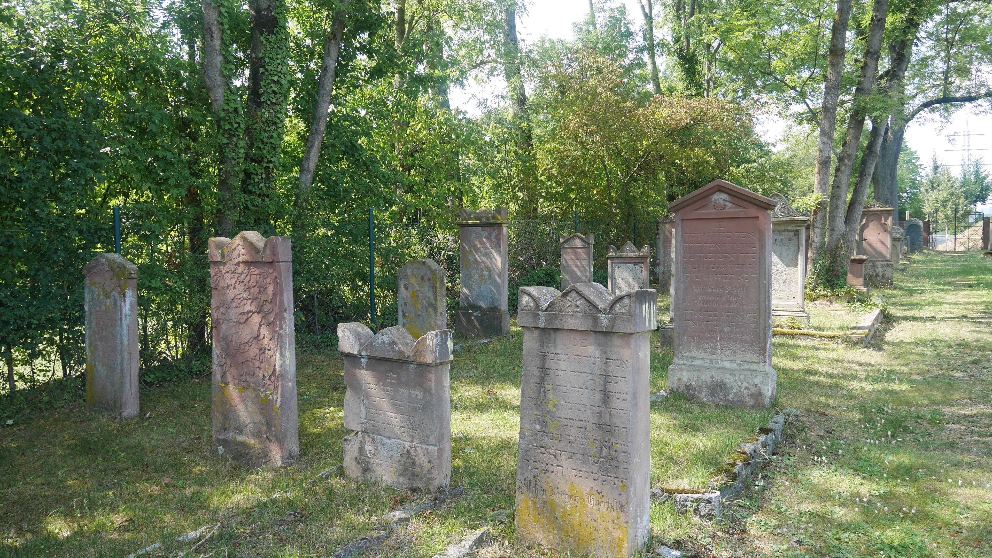 Grabsteine auf dem Jüdischen Friedhof in Bad Soden