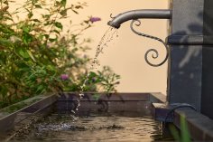 Brunnen Dalles Neuenhain Kurgast Brunnen Bad Soden