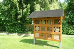 Rohrwiese Bad Soden am Taunus Rohrwiese3_BS.JPG