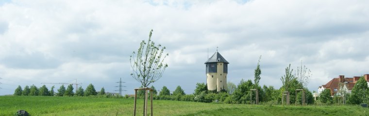 Wassetrum2_BS.JPG