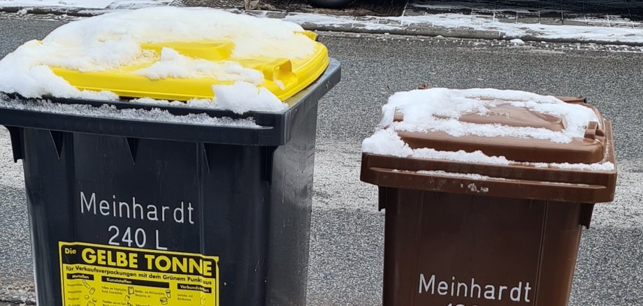 Zwei Mülltonnen, die im Schnee stehen.