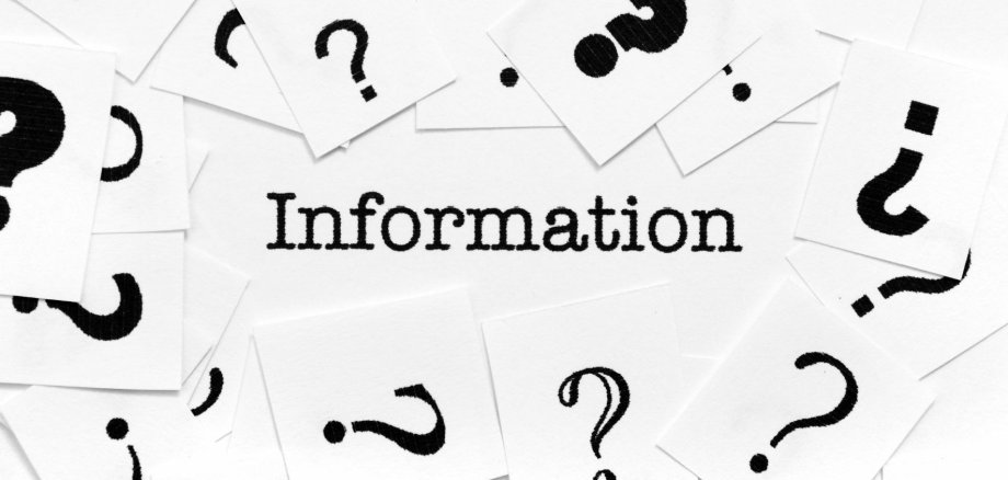 Bild Newsletter - 10