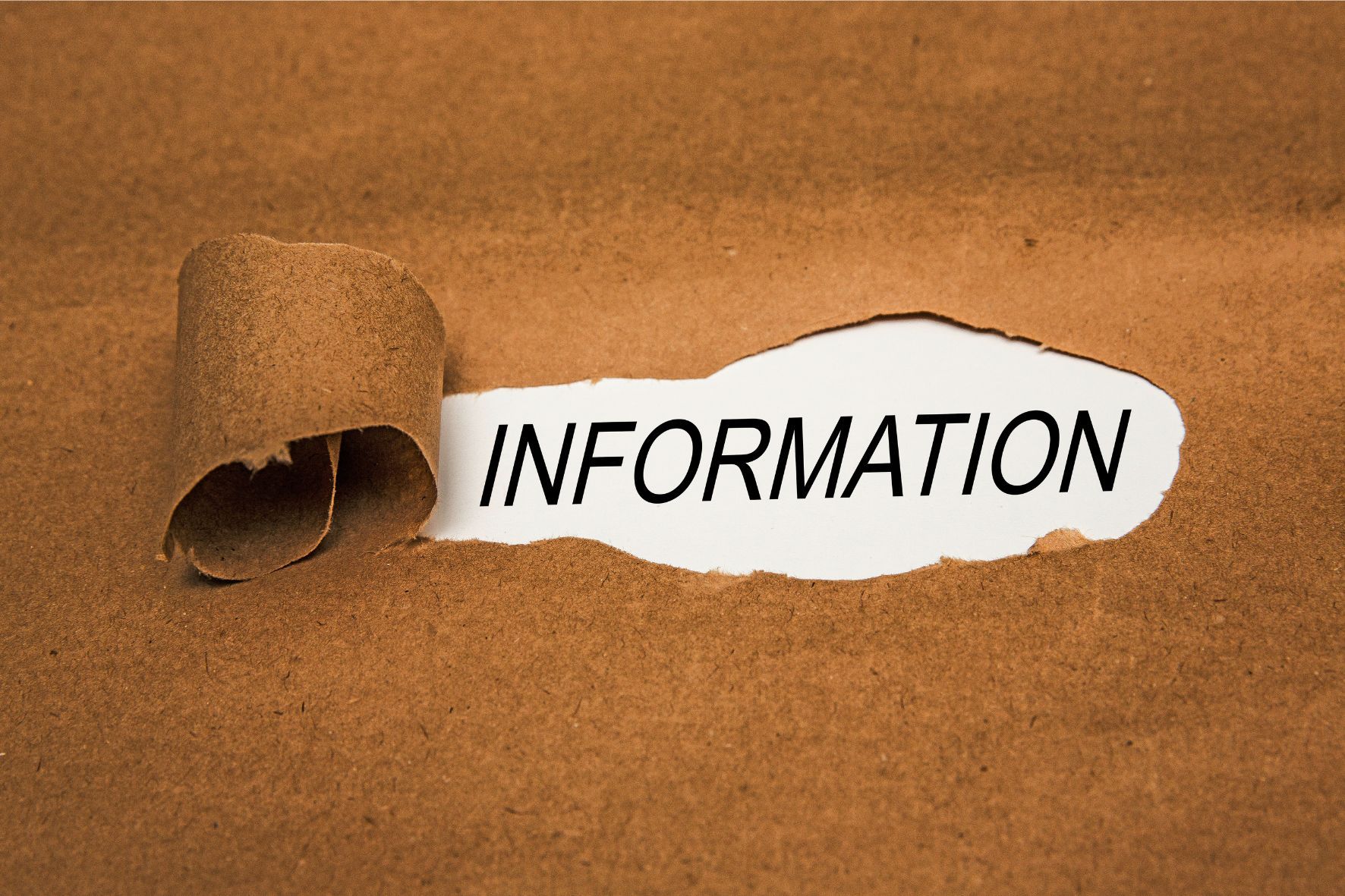 Bild Newsletter - 9 Bild Newsletter - 9