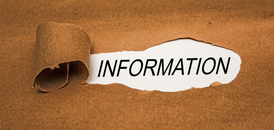 Bild Newsletter - 9 Bild Newsletter - 9