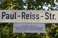 Paul-Reiss-Straße_BS.JPG