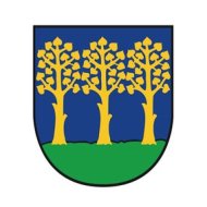 Das Neuenhainer Wappen