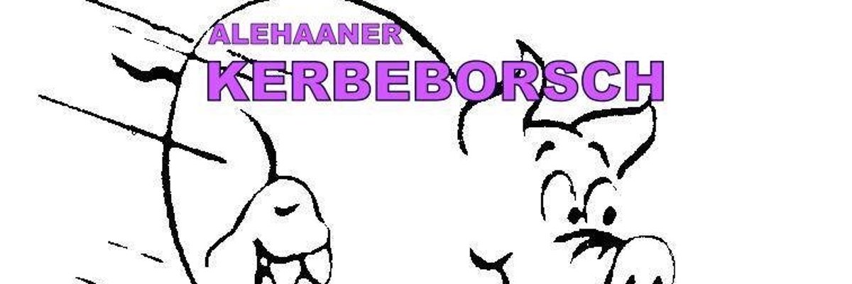 Sommernachtsfest1_BS.JPG