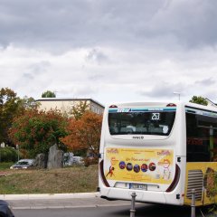 Bus fährt durch den Kreisel auf der Königsteiner Straße