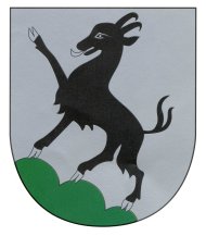 Wappen Kitzbühel Wappen.jpg