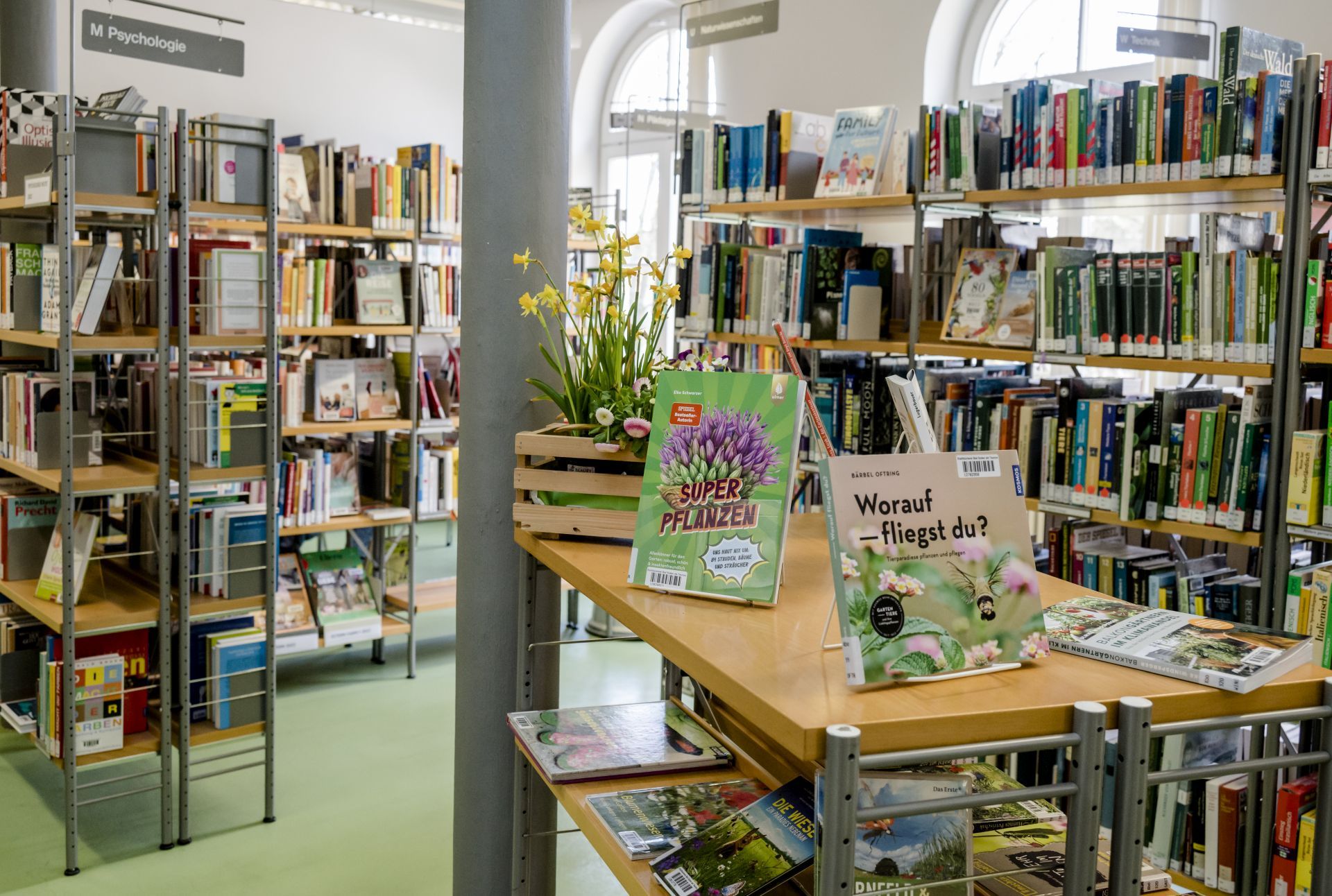 Ein Büchertisch in der Stadtbücherei