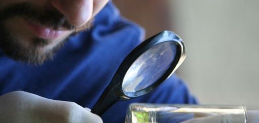 Symbolfoto für Detektiv-Workshop in Bad Soden