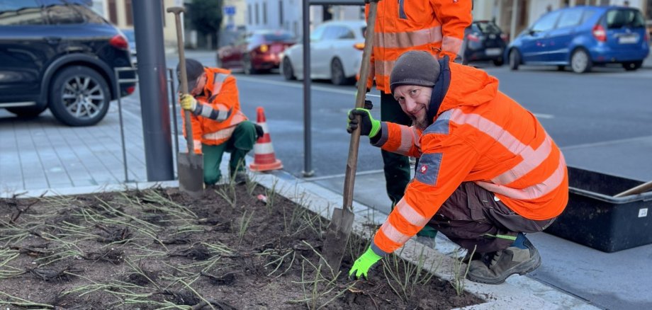Begrünung Omnibusbahnhof Begrünung Omnibusbahnhof Bad Soden 2025, nach Sanierung