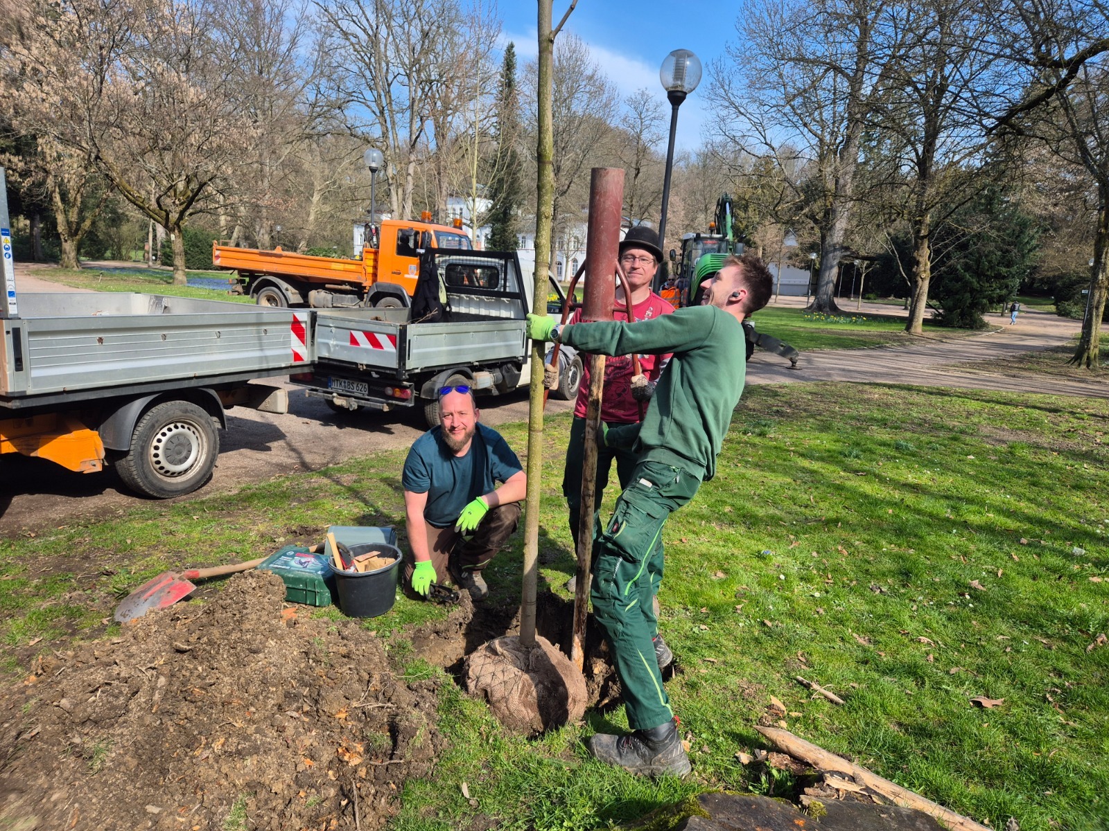 Neue Bäume werden im Alten Kurpark gepflanzt