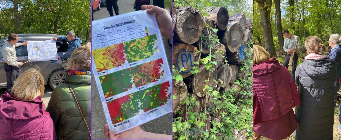 Waldrundgang Waldrundgang mit dem Revierförster