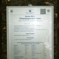 Informationsschild des Champagnerbrunnens im Bad Sodener Wilhelmspark