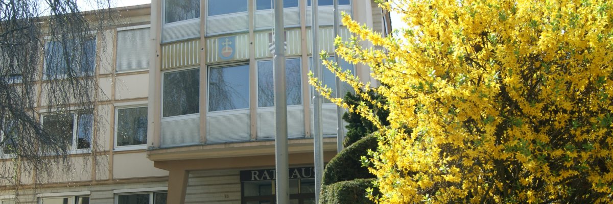 Rathaus im Frühling