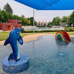 Wasserspeiender Delfin im Kinderbecken vom FreiBadSoden