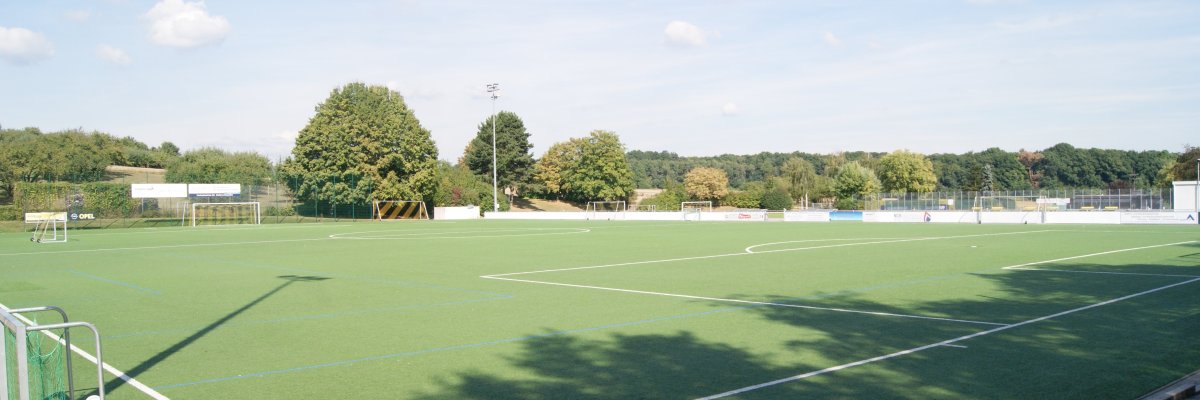 Freibad-Wiese_BS.JPG