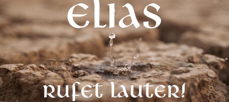 Elias - FAVORIT 1 Elias - FAVORIT 1