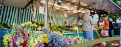 Shoppen und Essen in Bad Soden am Taunus Vielfältiges Angebot