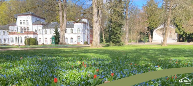 Must-See in Bad Soden am Taunus Kurparks und Grünanlagen