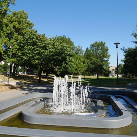 Neuer Kurpark Bad Soden am Taunus